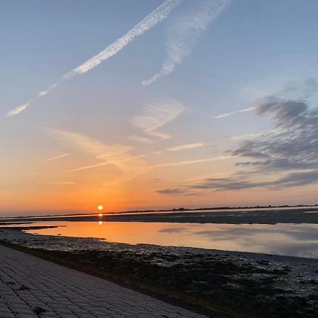 Vakantiewoning De Bosrand Aan Zee Sint Annaland Eksteriør billede