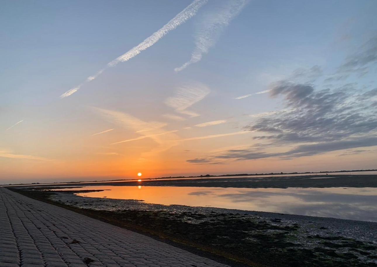 Vakantiewoning De Bosrand Aan Zee Sint Annaland Eksteriør billede