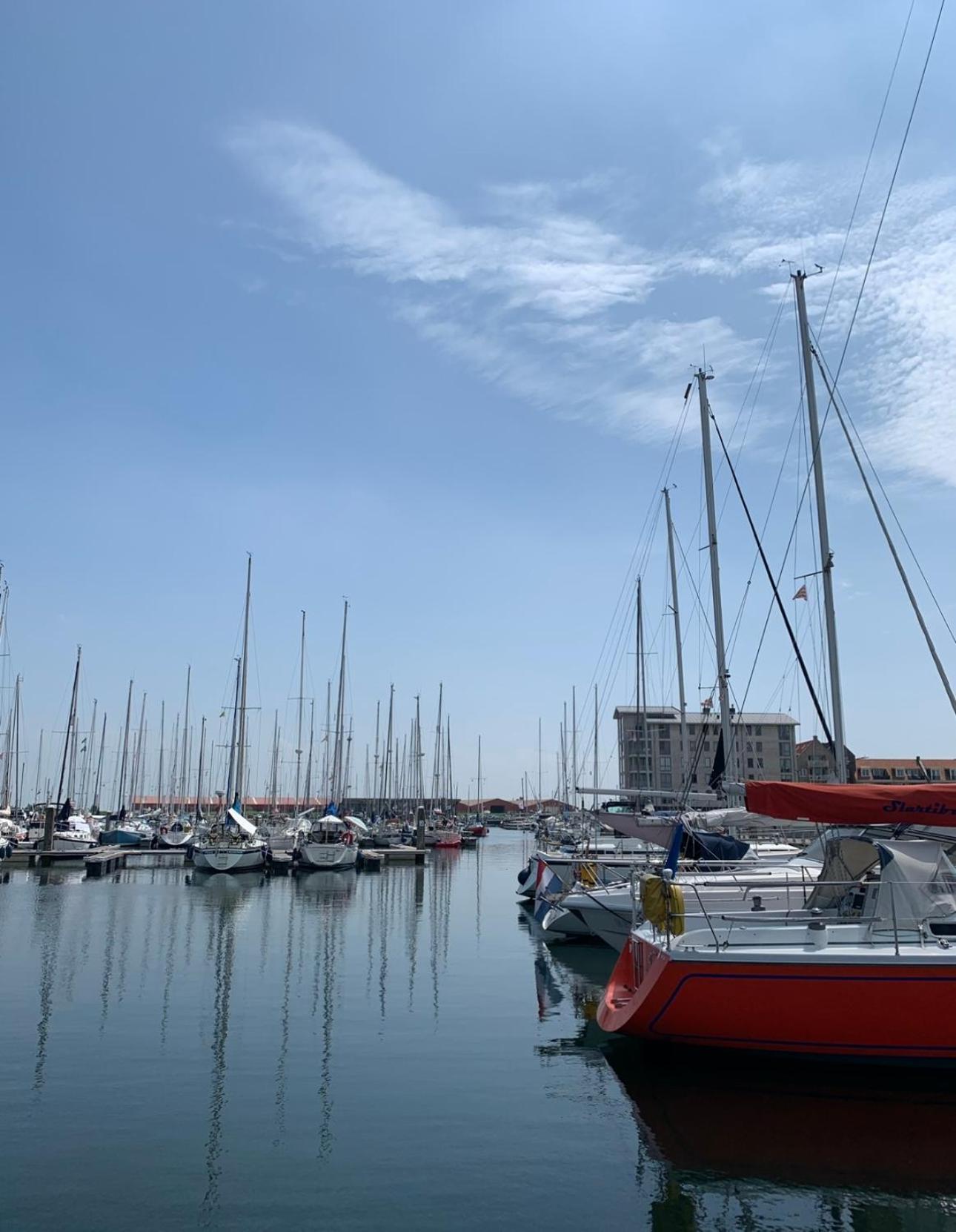 Vakantiewoning De Bosrand Aan Zee Sint Annaland Eksteriør billede